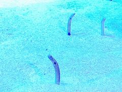 -珠海长隆海洋王国