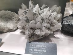 -中国地质博物馆