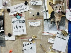 -美联众合爱康动物医院•复杂内科•肿瘤科•牙科•腔镜诊疗中心