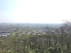 -上海佘山国家森林公园西佘山园