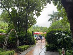 -Waterfall瀑布湾优健源(华侨城店)