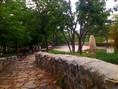 -阳台山自然风景区