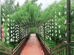 -崖口红树林海鲜餐厅