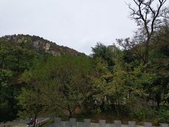 -抱犊崮国家森林公园