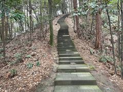 -缙云山景区