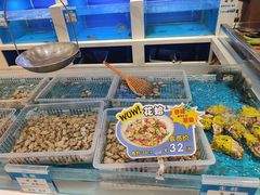 -丝路东方虾仁水饺(北京路二宫汇嘉店)