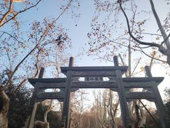 -杭州黄龙洞