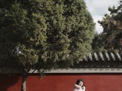 -护国法轮寺
