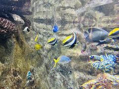 -香港海洋公园