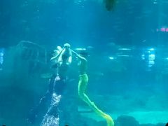 -福州罗源湾海洋世界旅游区