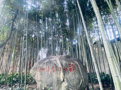 -上海醉白池公园