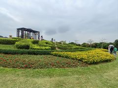 -东莞植物园