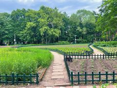 -黑龙江省森林植物园