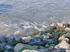 -上海滨江森林公园