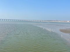 -宝安西湾红树林湿地公园