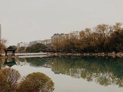-北湖公园