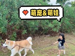 -情侣路