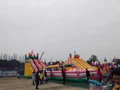 -秀丽东方