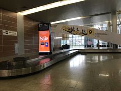 -谢列梅捷沃国际机场