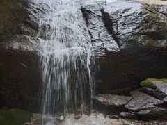 -王顺山国家森林公园