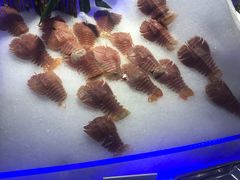 -澜悦港海鲜体验主题餐厅