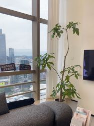 -JNK皮肤管理中心