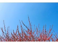 -杭州电子科技大学(下沙校区)