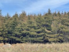 -白草畔自然风景区