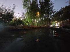 -崇阳三特浪口温泉
