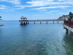 -养马岛旅游度假区