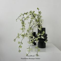 -小梨·OndaPro·专业脱毛连锁机构