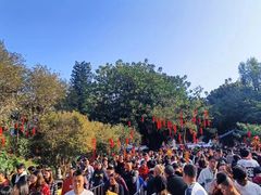 -国恩寺