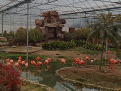 -无锡动物园·太湖欢乐园