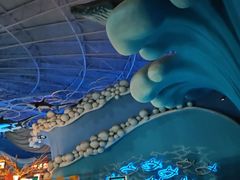 -烟台海昌鲸鲨海洋公园