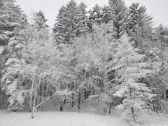 -王朝圣地温泉酒店-中餐厅