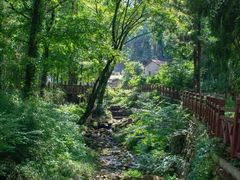 -素山寺森林公园