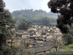 -杨家堂村