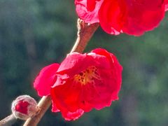 -桃花涧