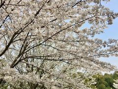 -江南大学(蠡湖校区)