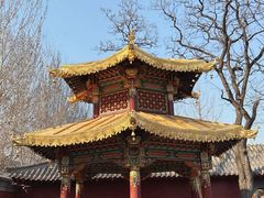 -护国法轮寺