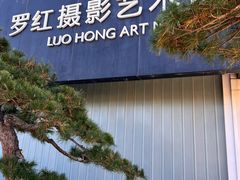 -罗红摄影艺术馆