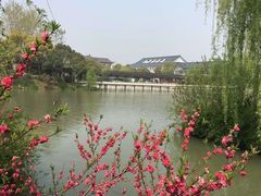 -冶春茶社(珍园店)