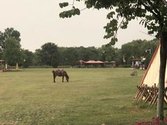 -合肥三国新城遗址公园