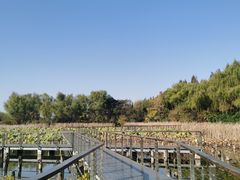 -昆山城市生态森林公园