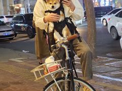 -成川茶店·潮汕工夫浓茶(万象店)