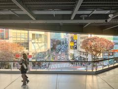 -西武百货(涩谷店)