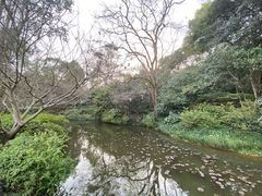 -杭州植物园