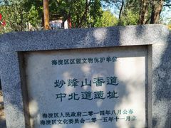 -阳台山自然风景区