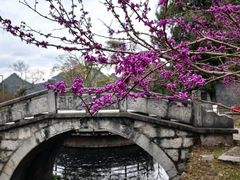 -花溪公园