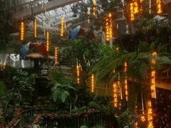 -正佳雨林生态植物园